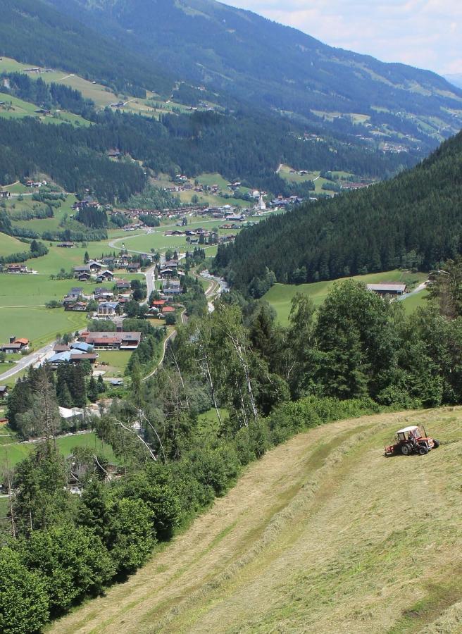 Gruppen Und Familienhof Falkenstein Hotel Кримл Екстериор снимка