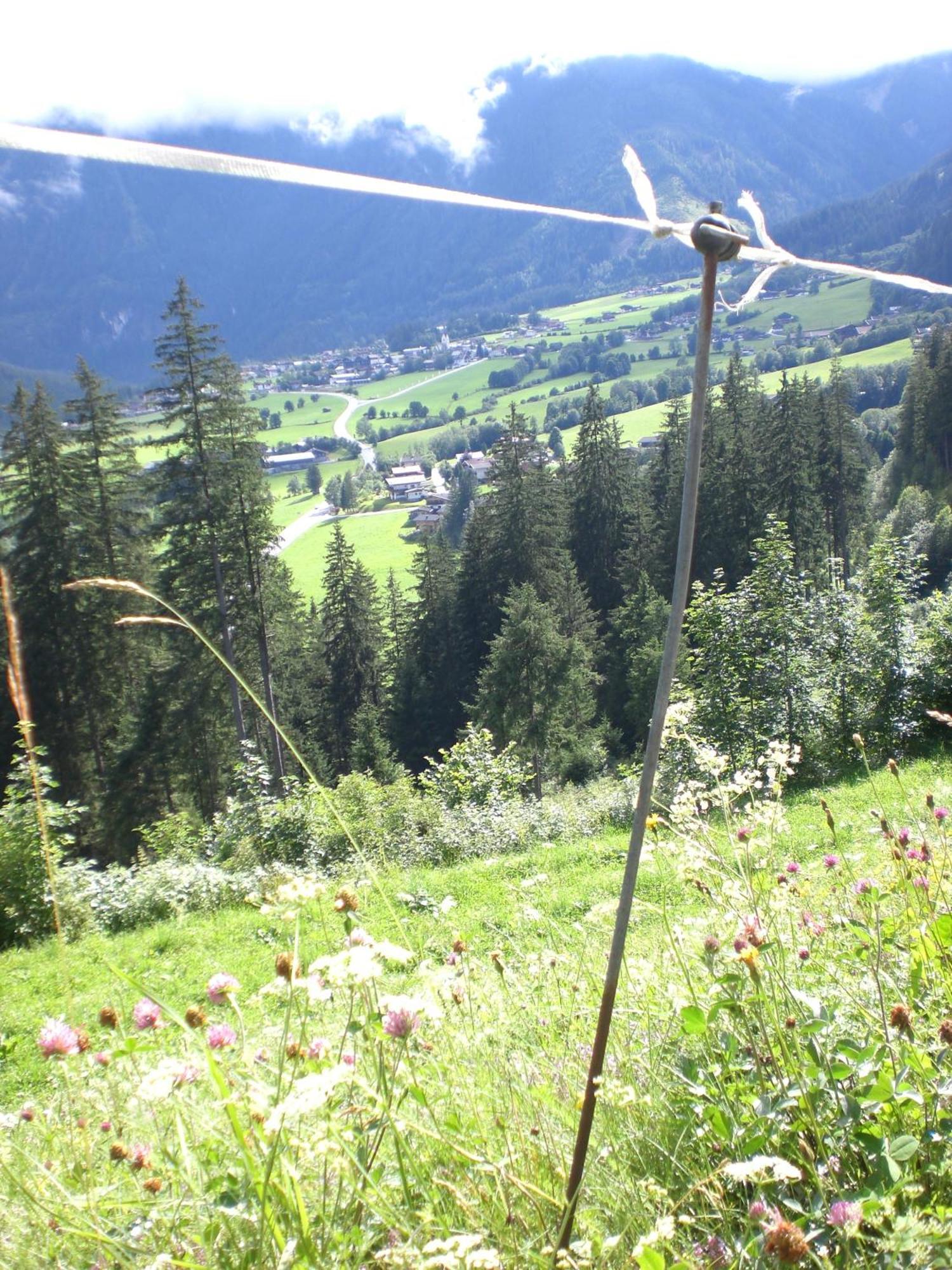 Gruppen Und Familienhof Falkenstein Hotel Кримл Екстериор снимка