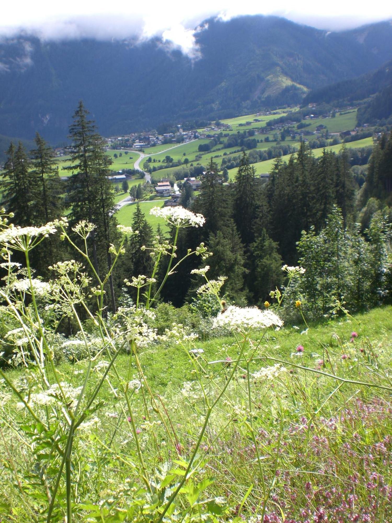 Gruppen Und Familienhof Falkenstein Hotel Кримл Екстериор снимка